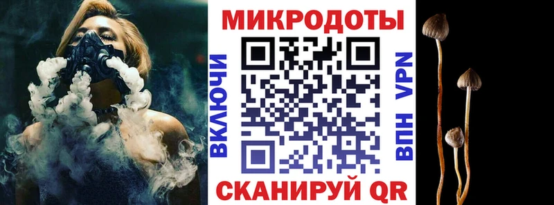 закладки  Старица  Псилоцибиновые грибы прущие грибы 